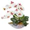 16" Moth Orchid Arrangement in Blue Floral Vase